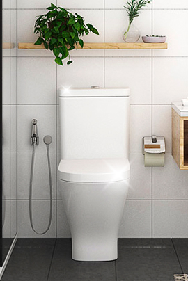 Toilet Cleaners